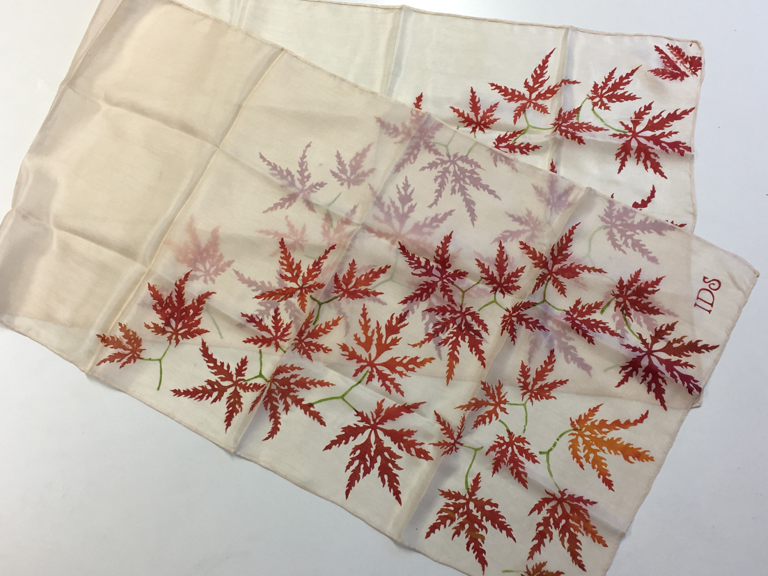 International Dendrology Society