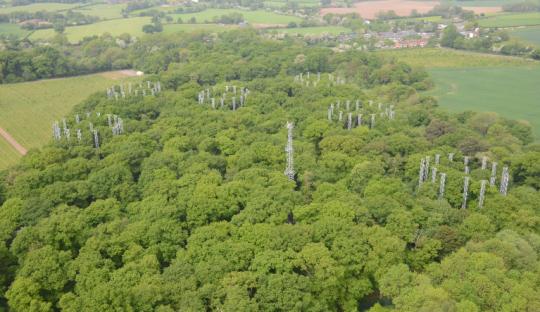  Visit to Norbury Park Estate - with Professor Jo Bradwell - Exploring the science and the reality of silviculture in the age of climate change.