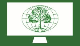 Webinar: Philippe de Spoelberch - Stewartias in our gardens: A gem for the autumn