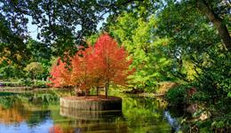 Surrey Arboreta & Gardens